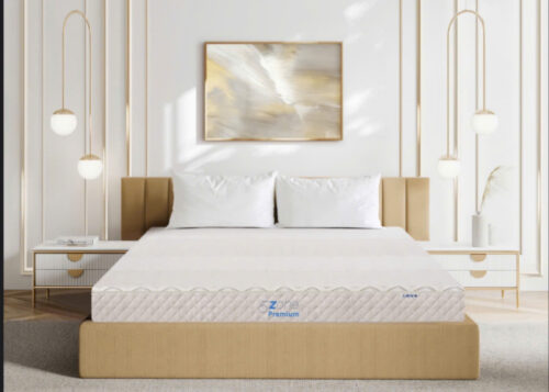 Nệm cao su 5ZONE Premium