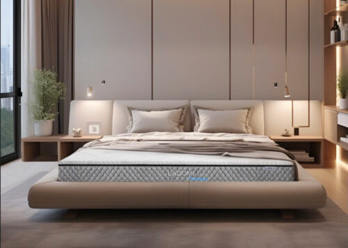 Nệm Cao Su Liên Á Than Hoạt Tính LA DOME Grey Premium
