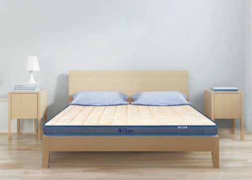 NỆM CAO SU HYBRID  LIÊN Á IKI EZ