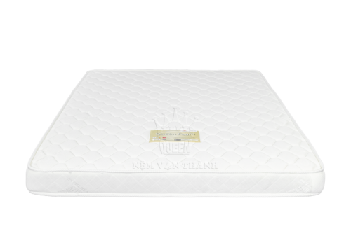 Nệm mousse Queen Foam 10N